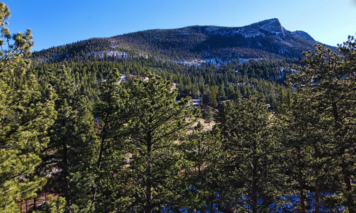 Photo of Others in Estes Park