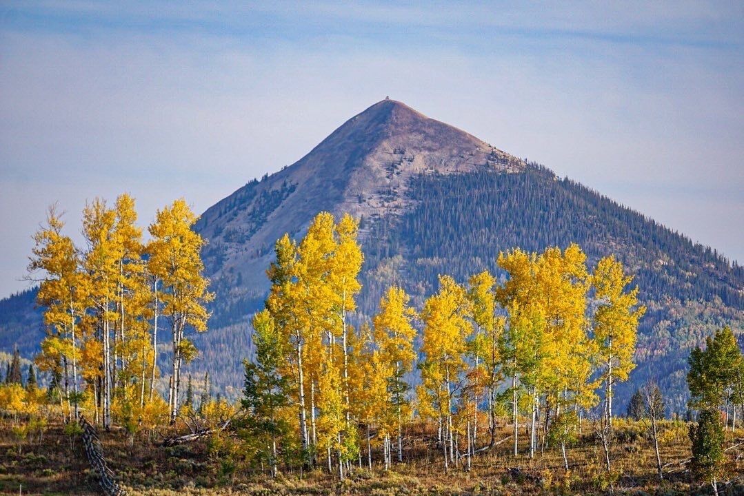 Photo of Outdoor in Clark