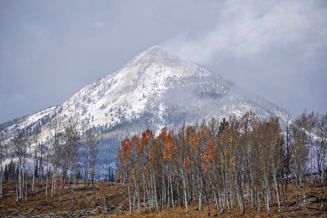 Photo of Others in Clark