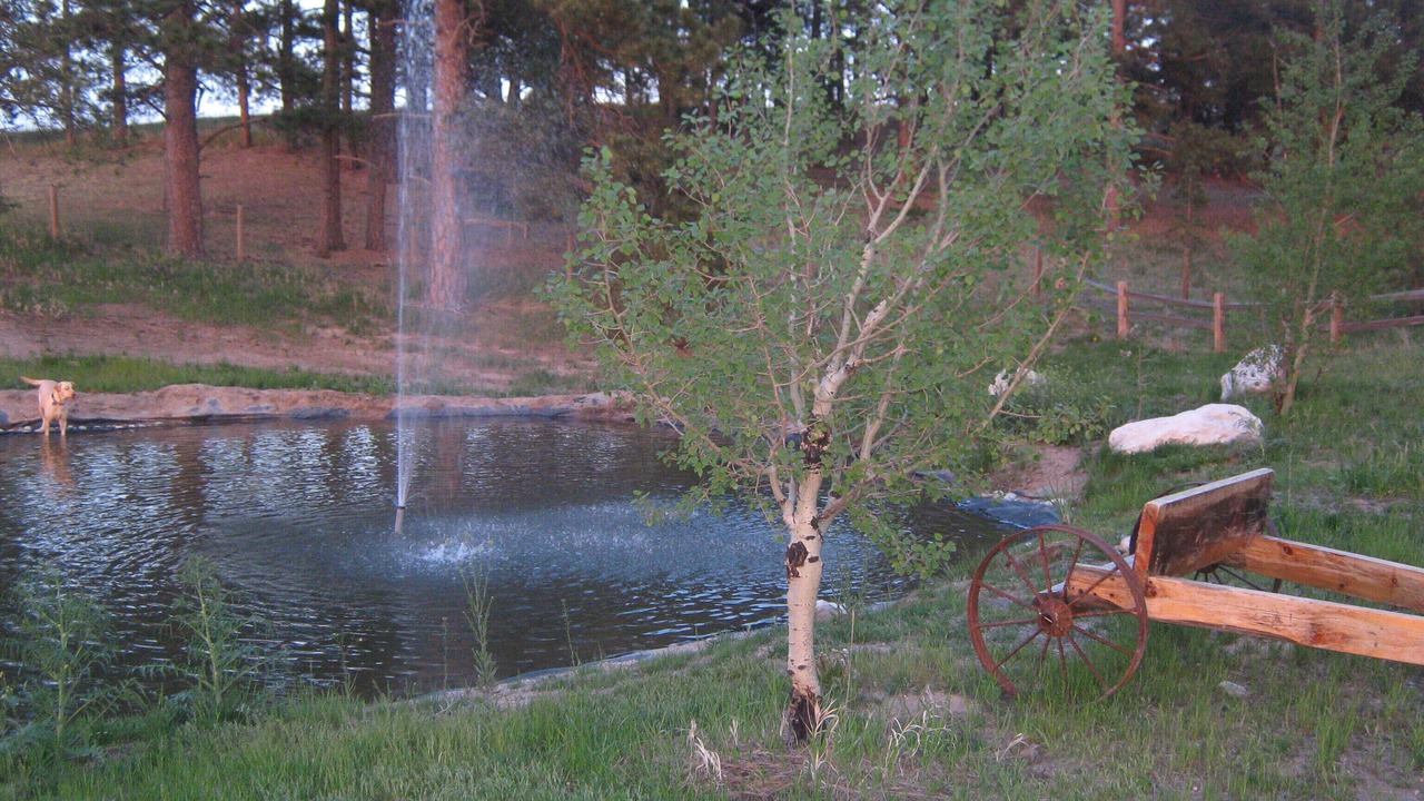 Photo of Others in Colorado Springs
