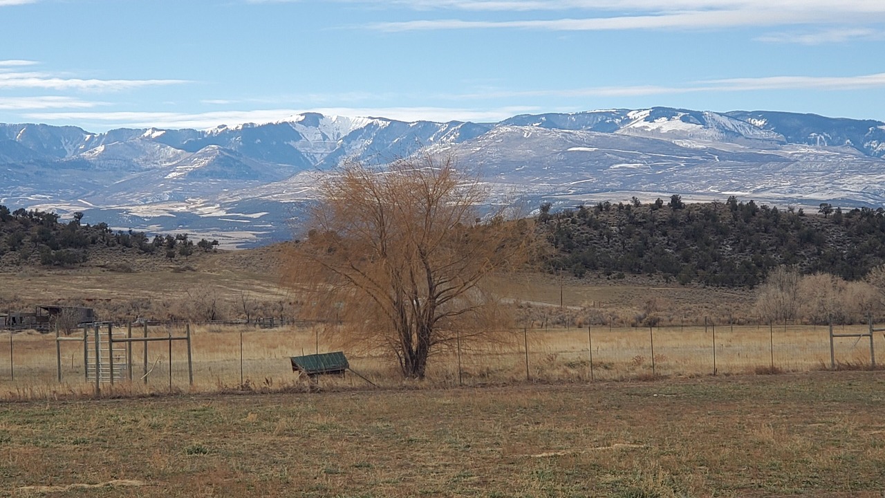 Photo of Outdoor in Silt