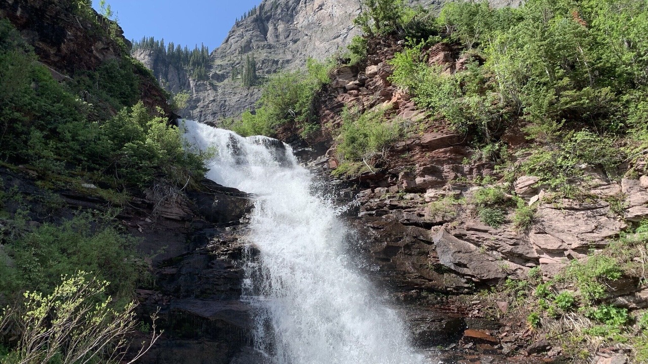 Photo of Others in Mountain Village
