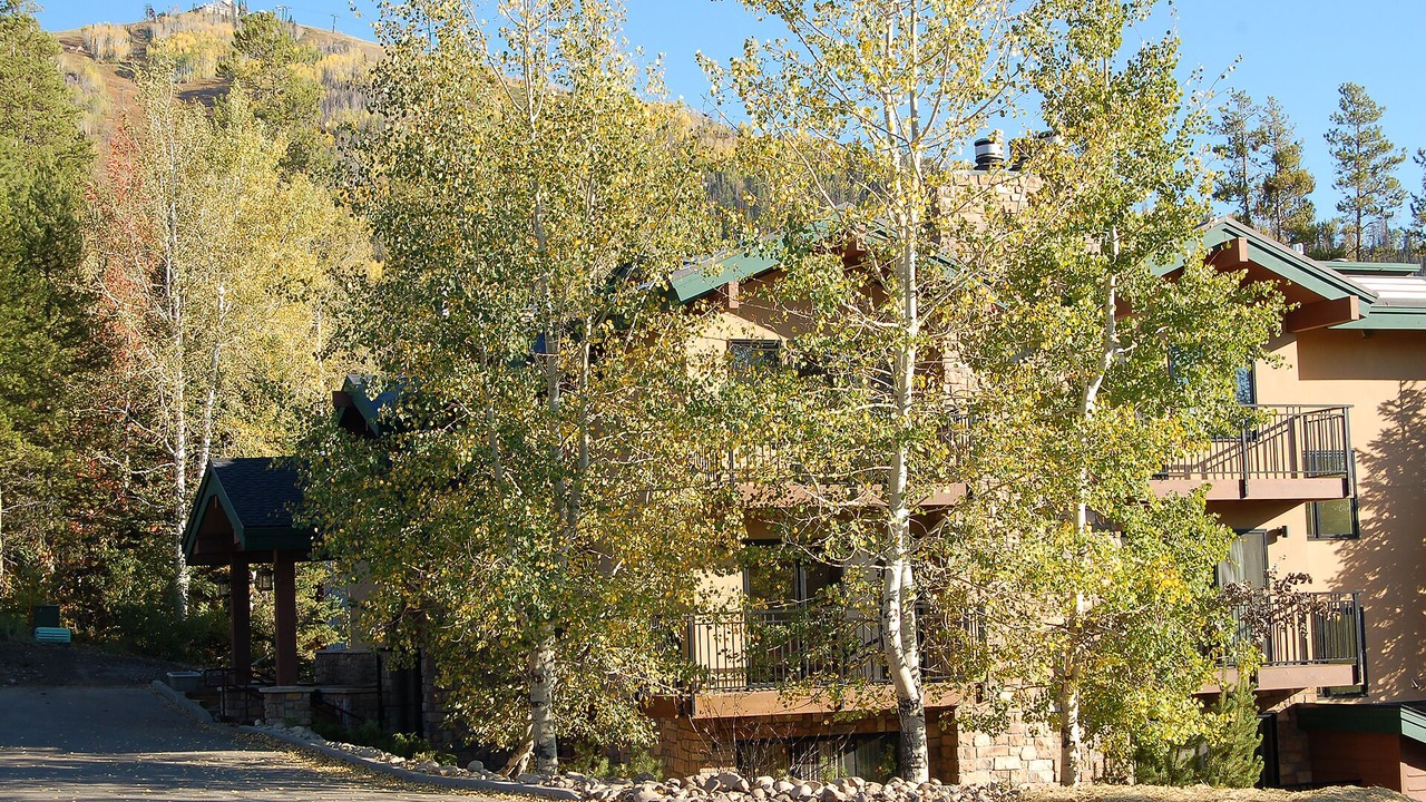 Photo of Others in Steamboat Springs