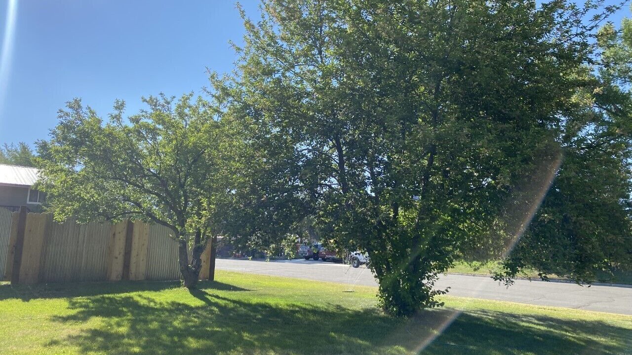 Photo of Outdoor in Gunnison
