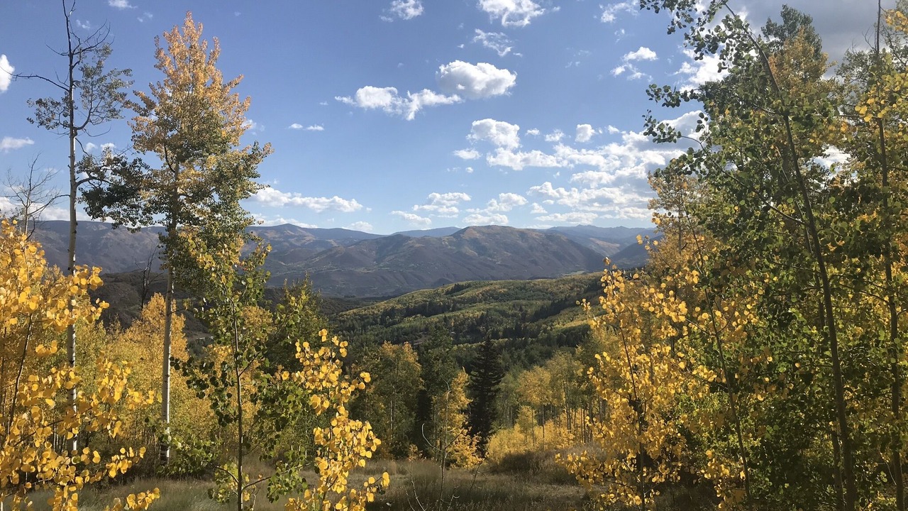 Photo of Bedroom in Snowmass Village