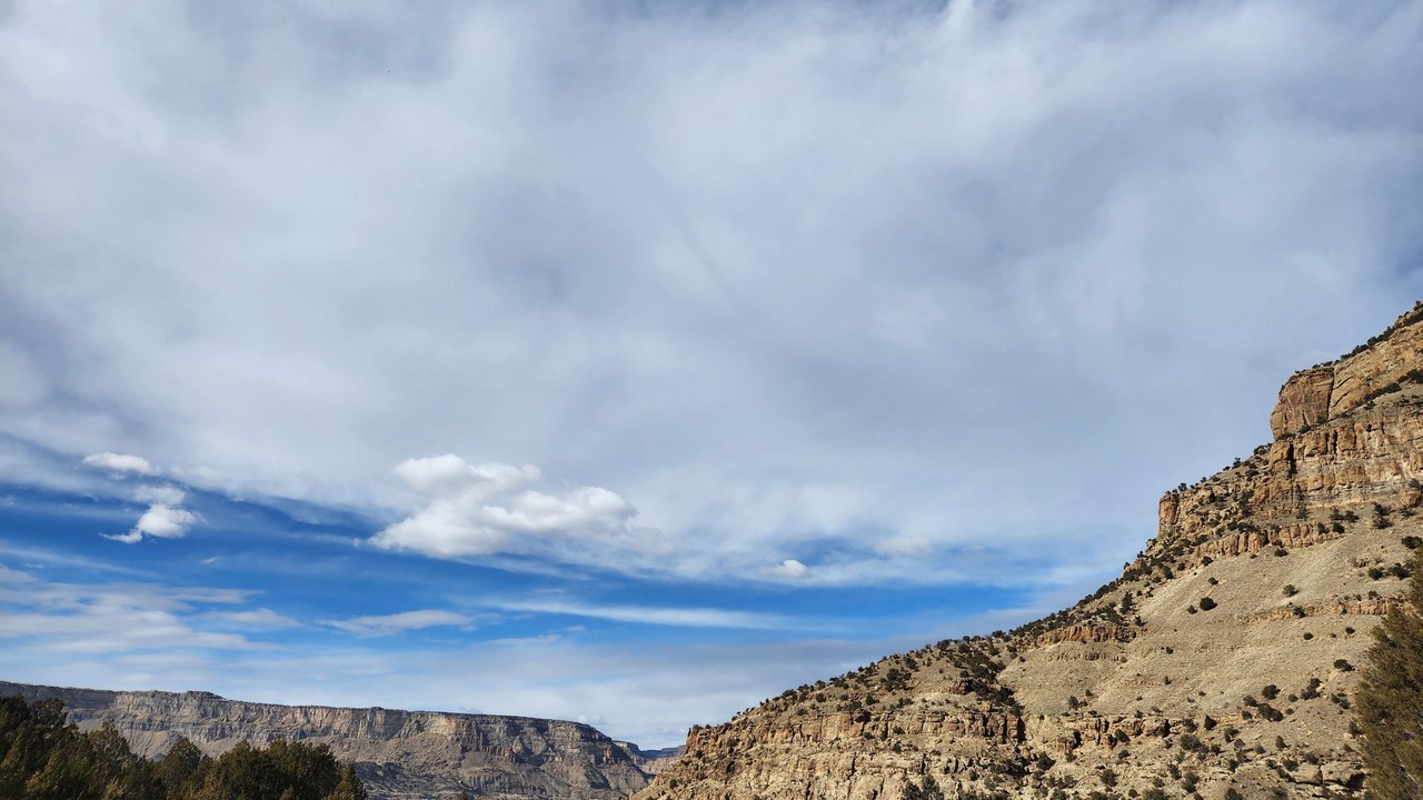 Photo of Others in Palisade