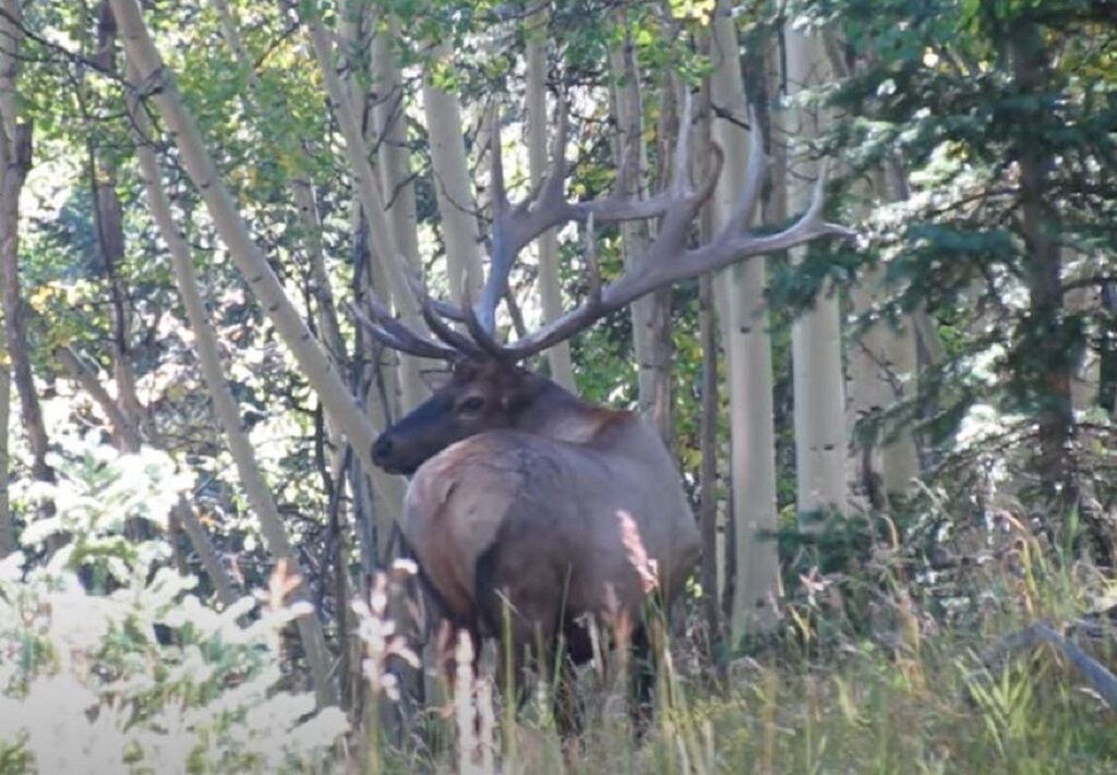 Photo of Others in Cimarron