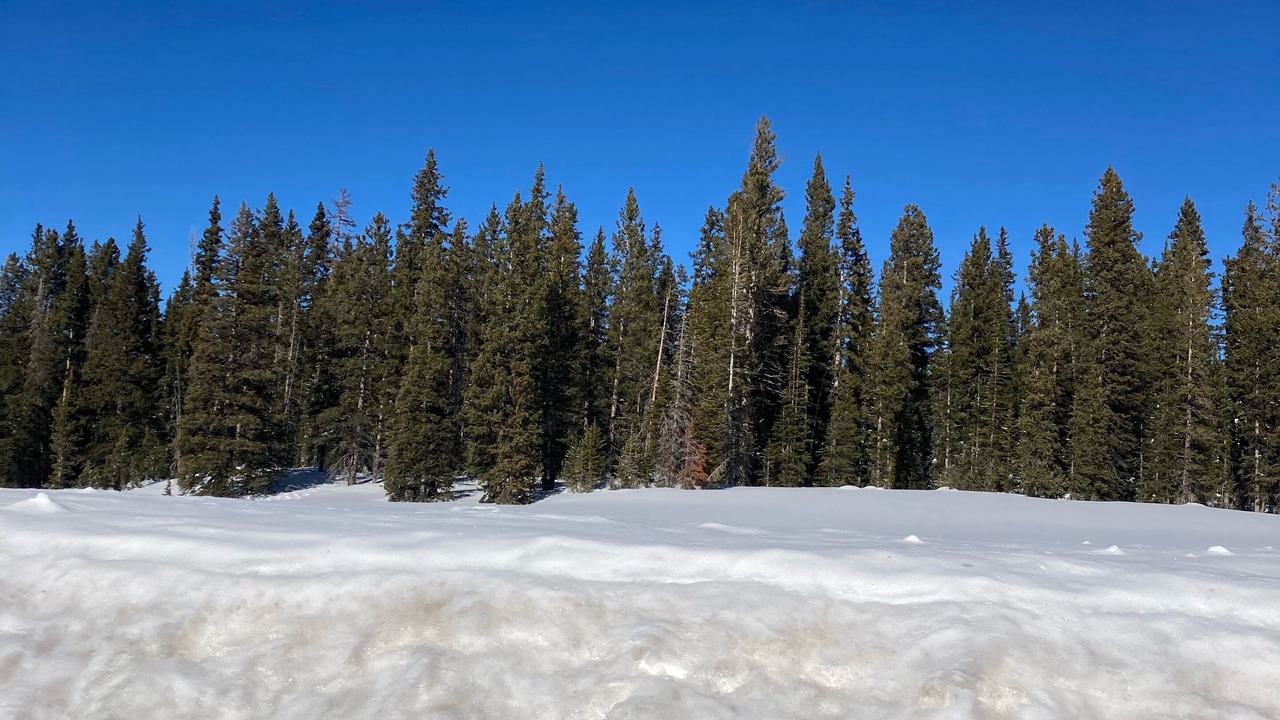Photo of Others in Collbran