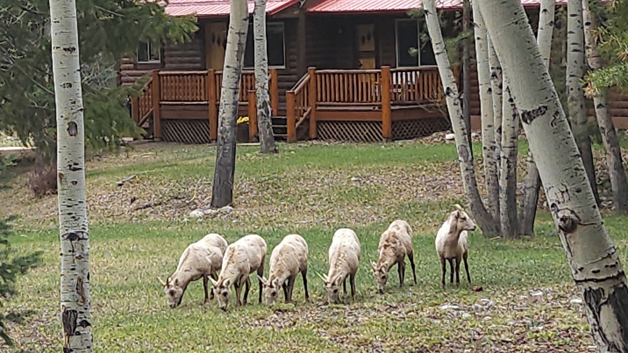 Photo of Outdoor in Nathrop