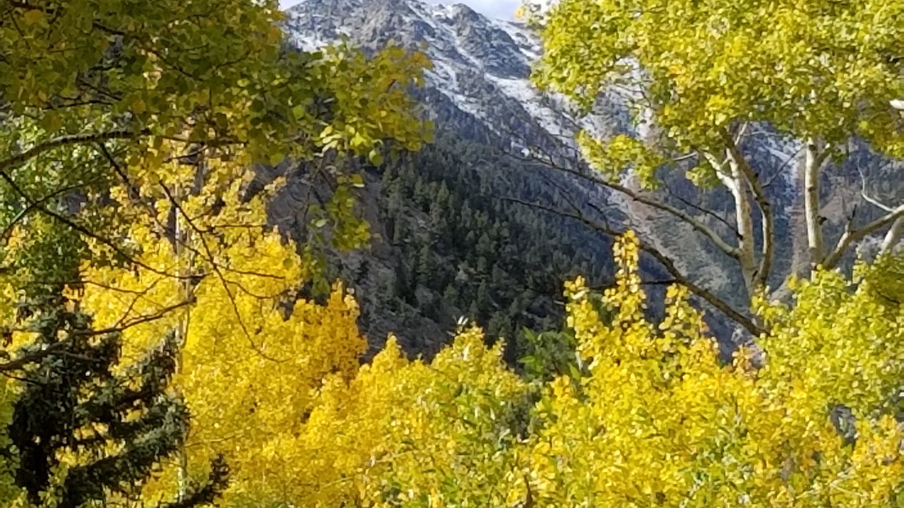 Photo of Others in Nathrop