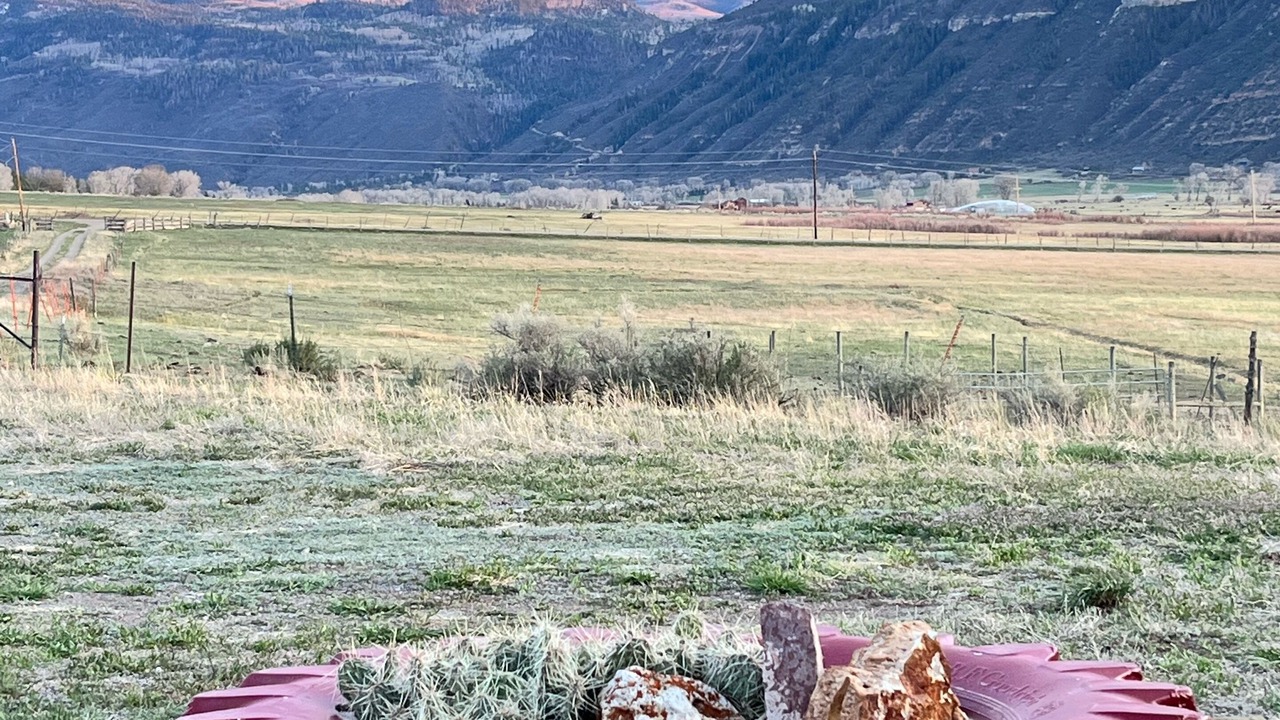 Photo of Others in Ridgway