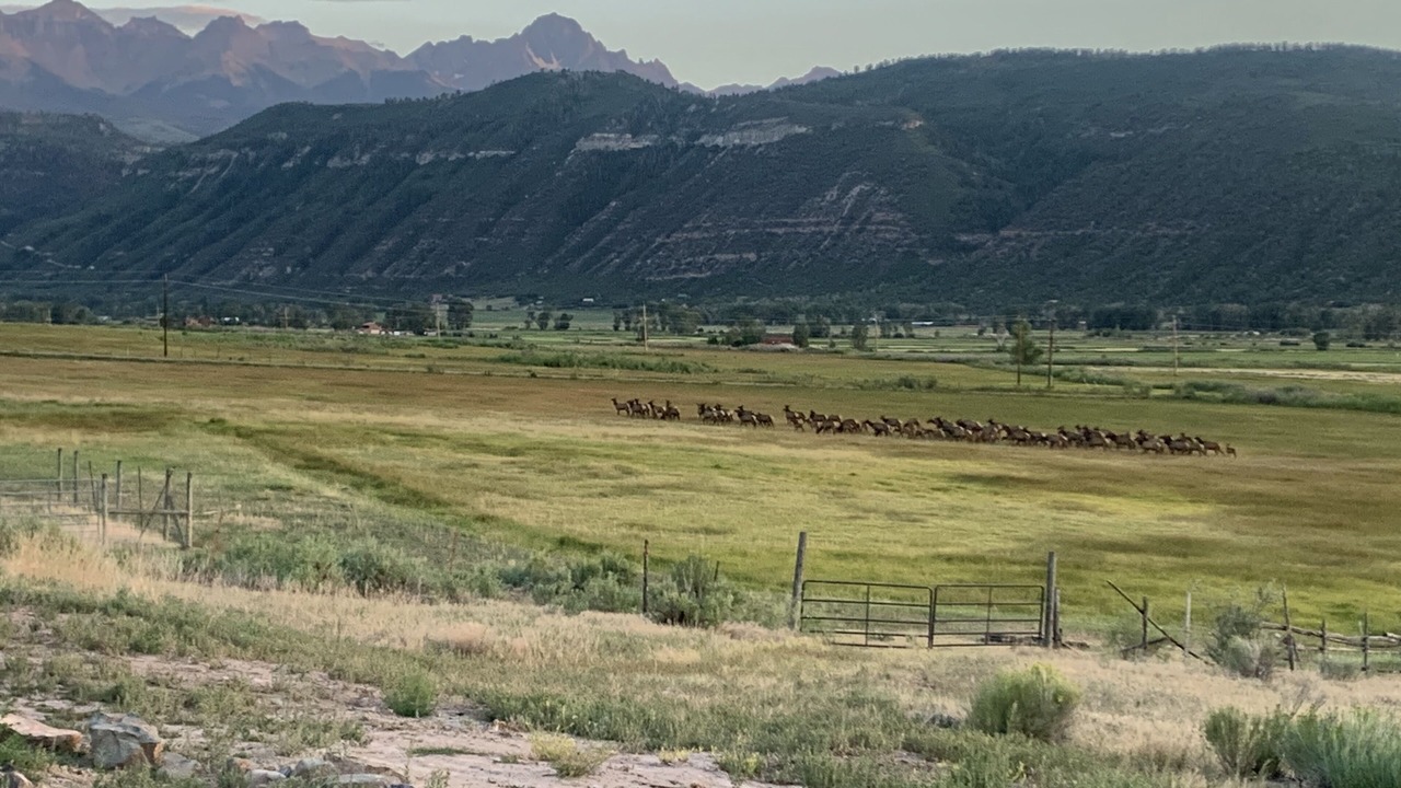 Photo of Others in Ridgway
