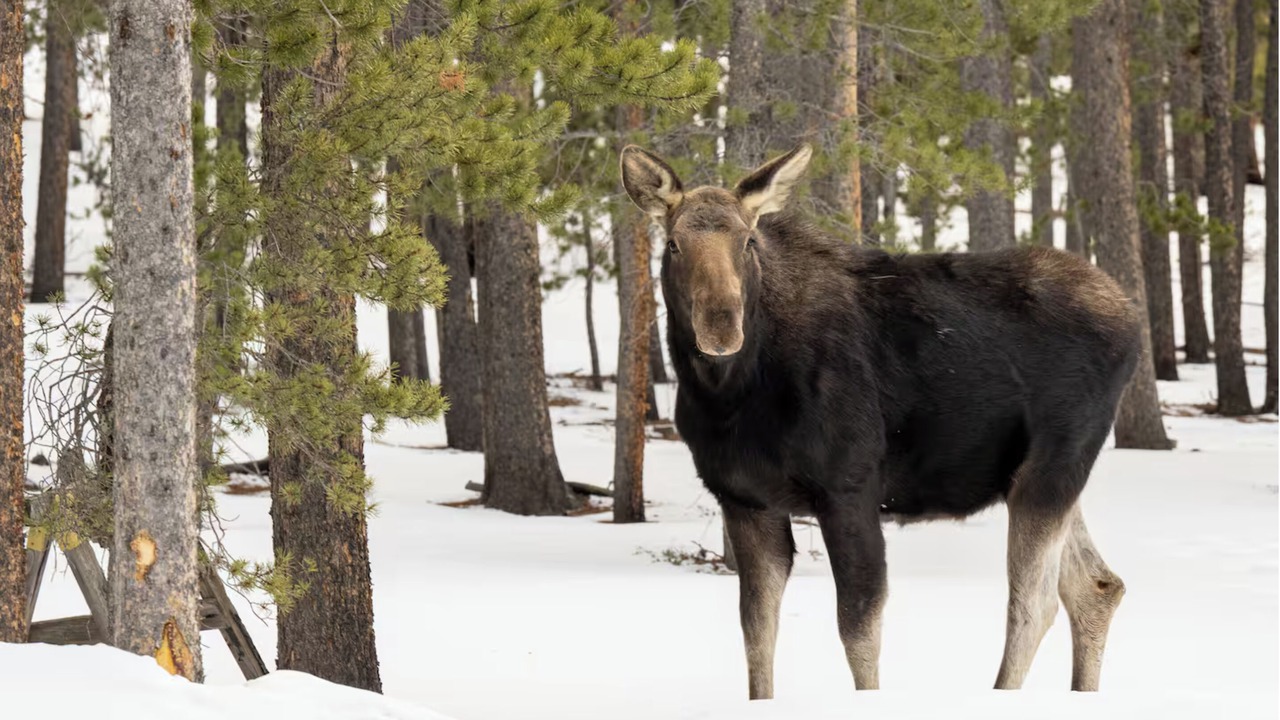 Photo of Others in Glenwood Springs