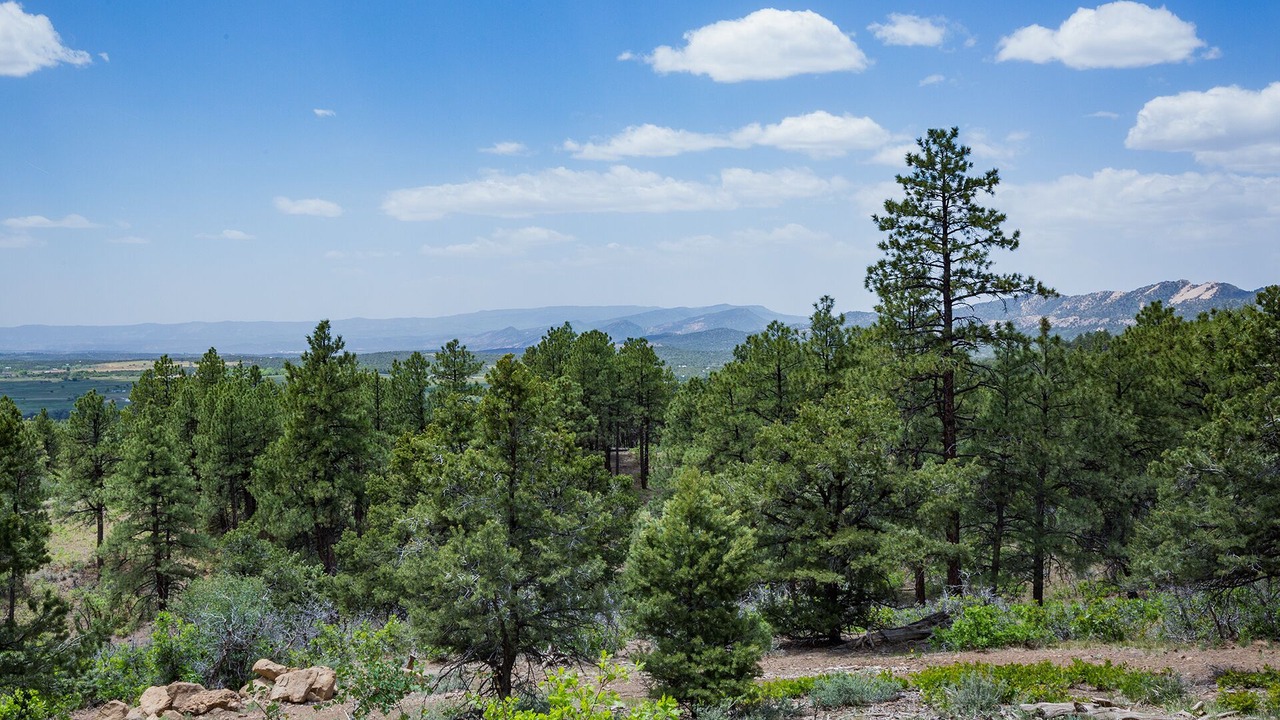 Photo of Others in Rincon Ridge