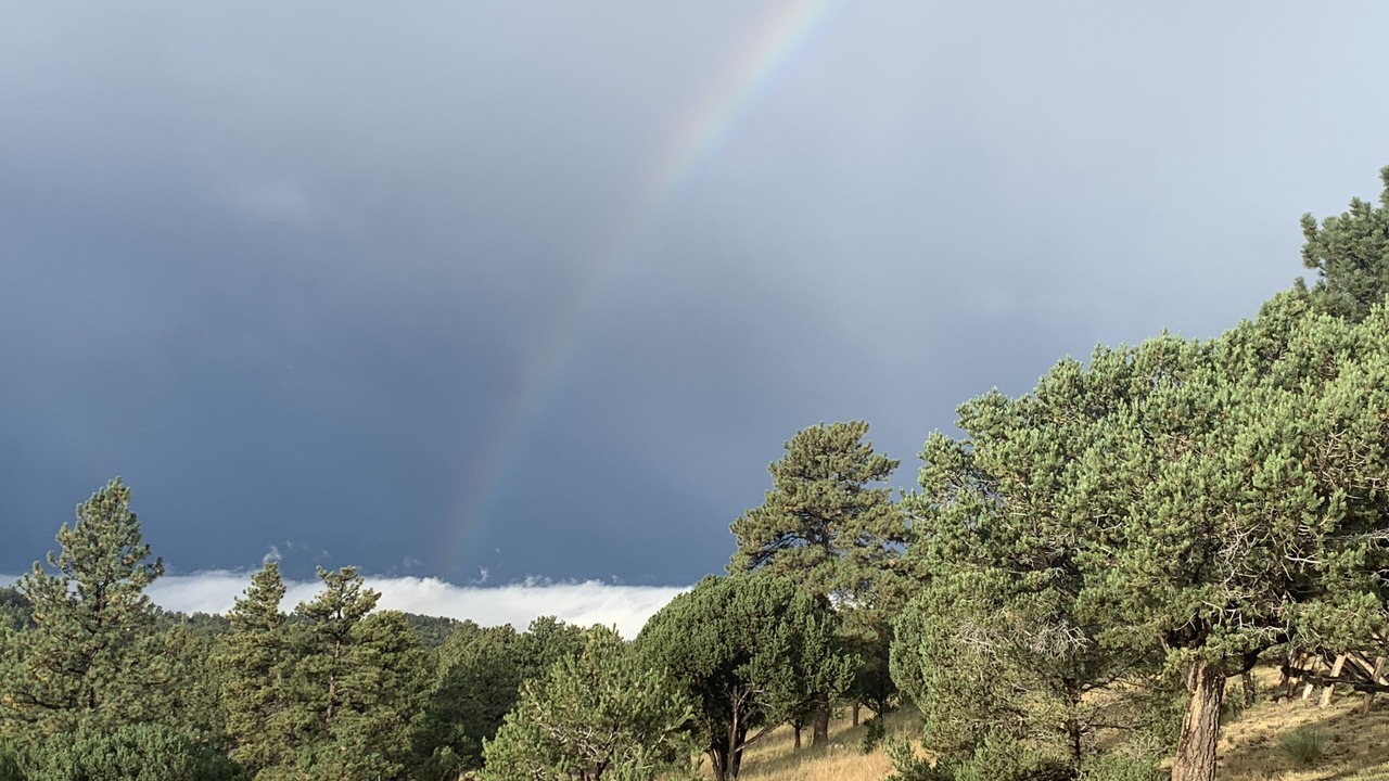 Photo of Others in Westcliffe