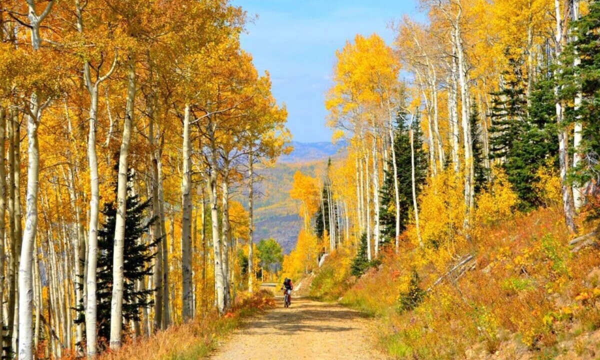 Photo of Others in Grand Junction