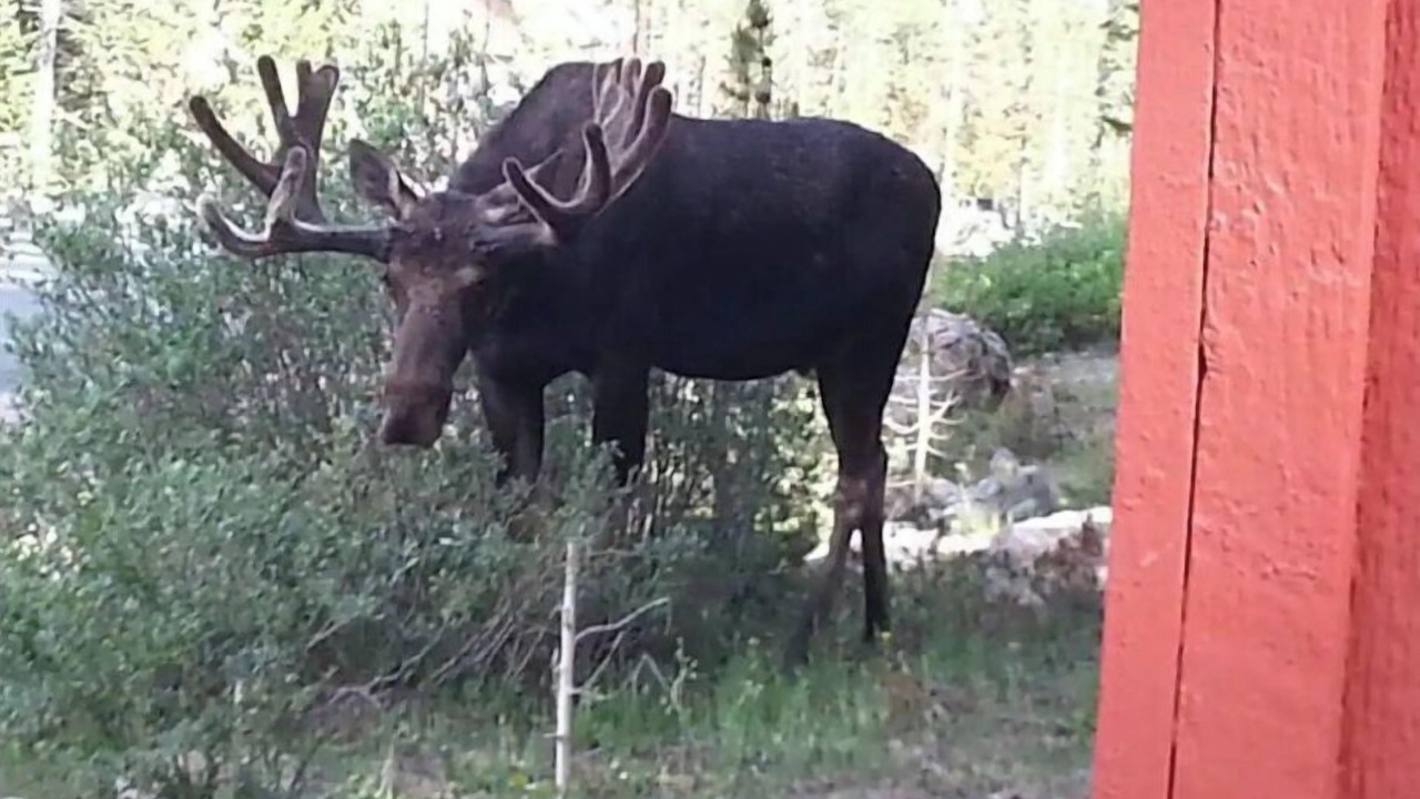 Photo of Outdoor in Saint Mary's