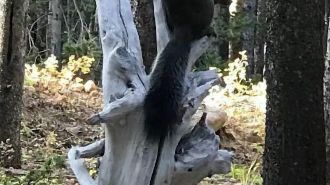 Photo of Outdoor in Saint Mary's