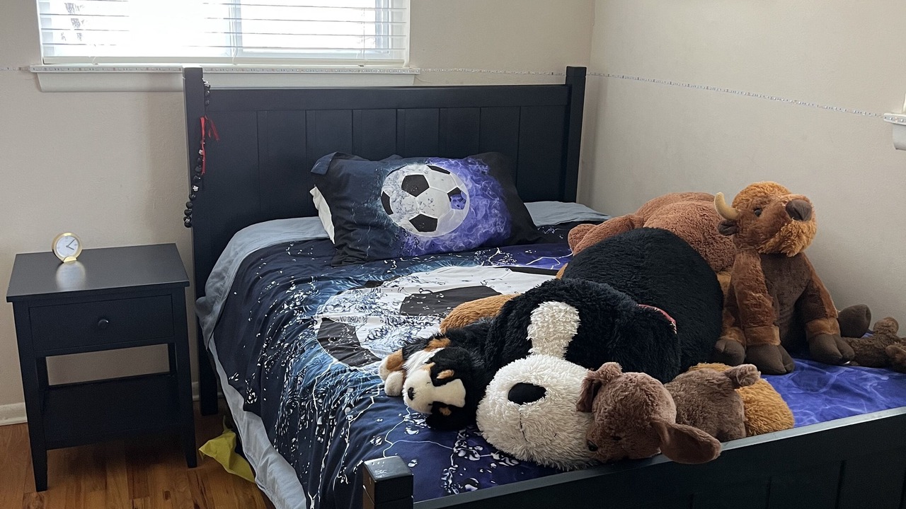 Photo of Bedroom in Rural North Boulder