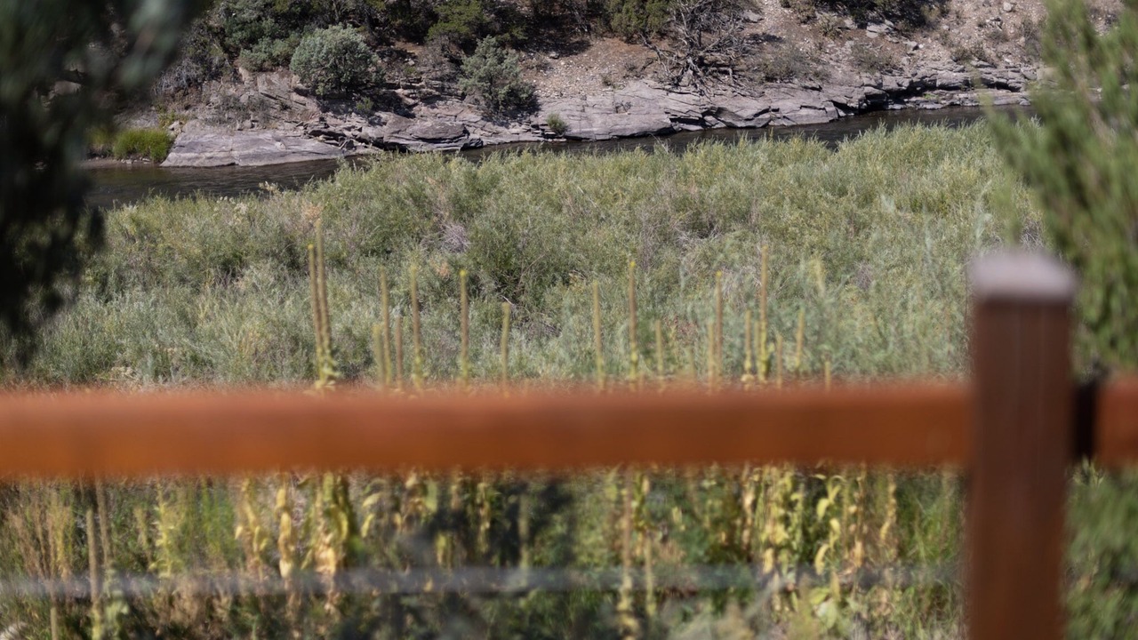 Photo of Outdoor in Salida