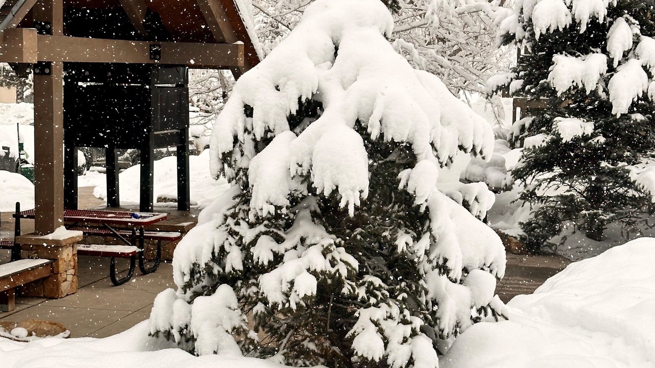 Photo of Outdoor in Steamboat Springs