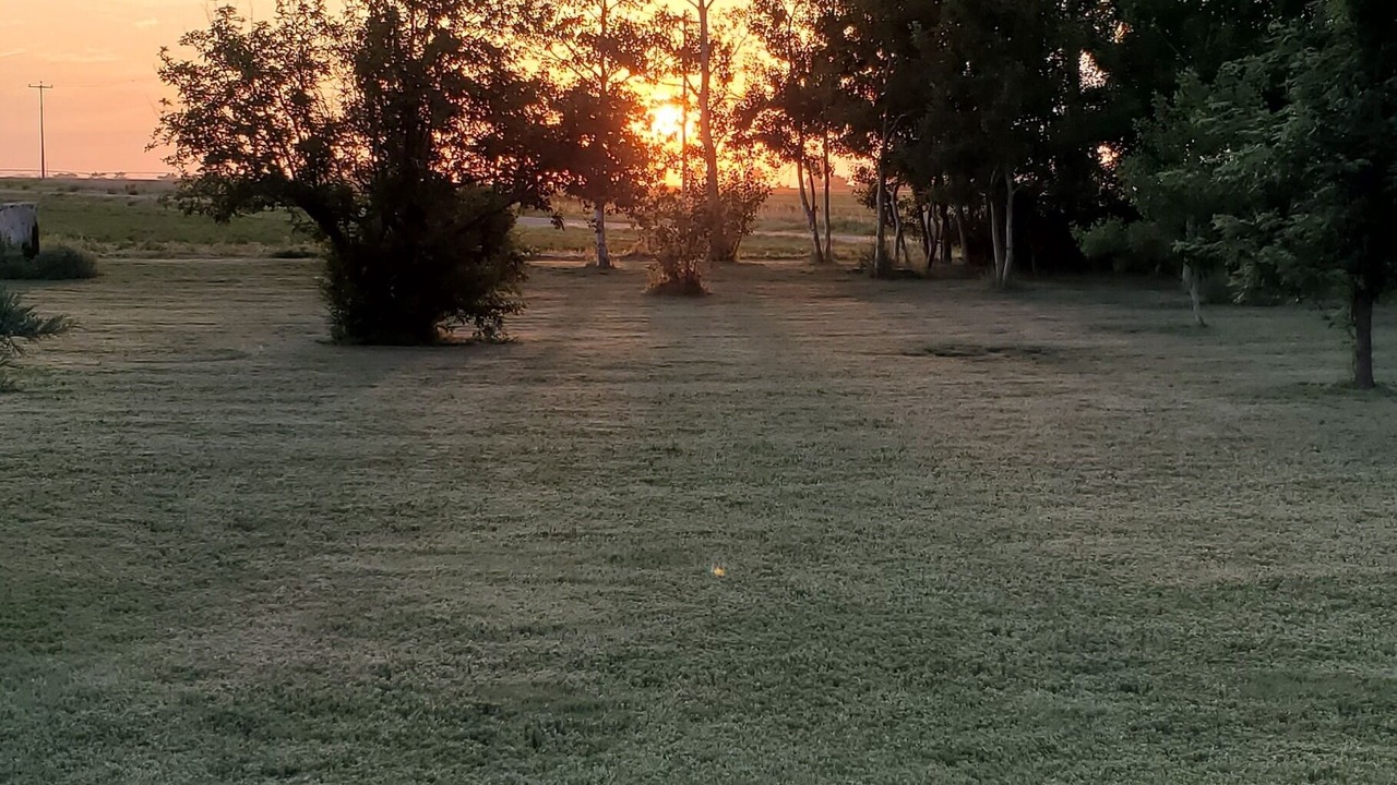 Photo of Outdoor in Wiley