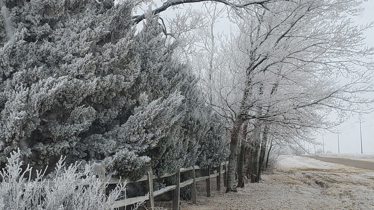 Photo of Outdoor in Wiley
