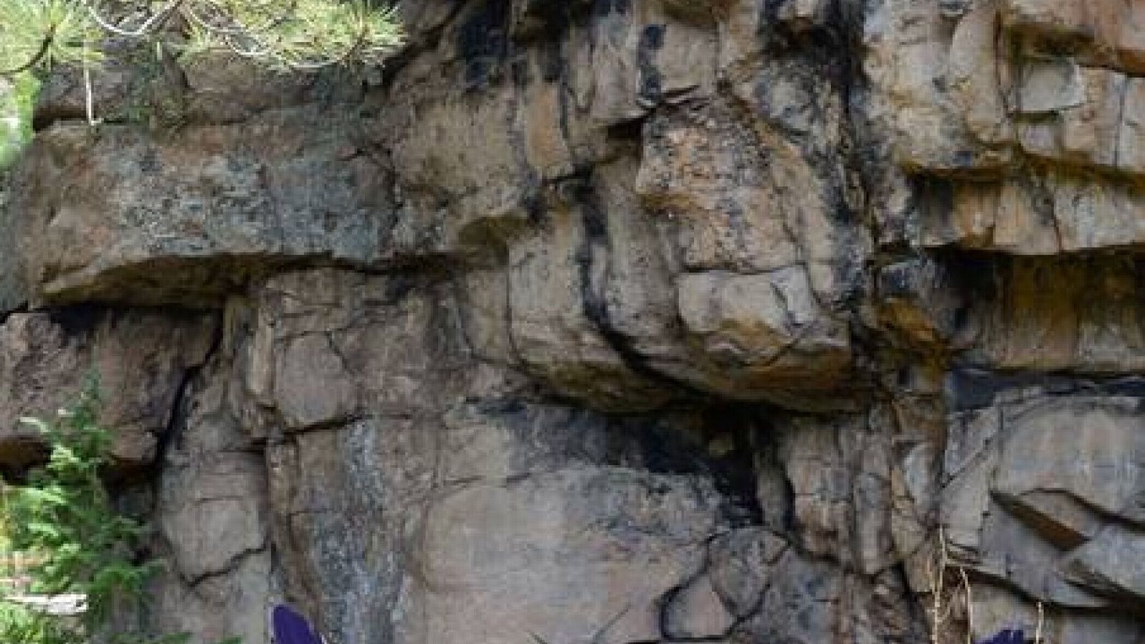 Photo of Outdoor in Drake