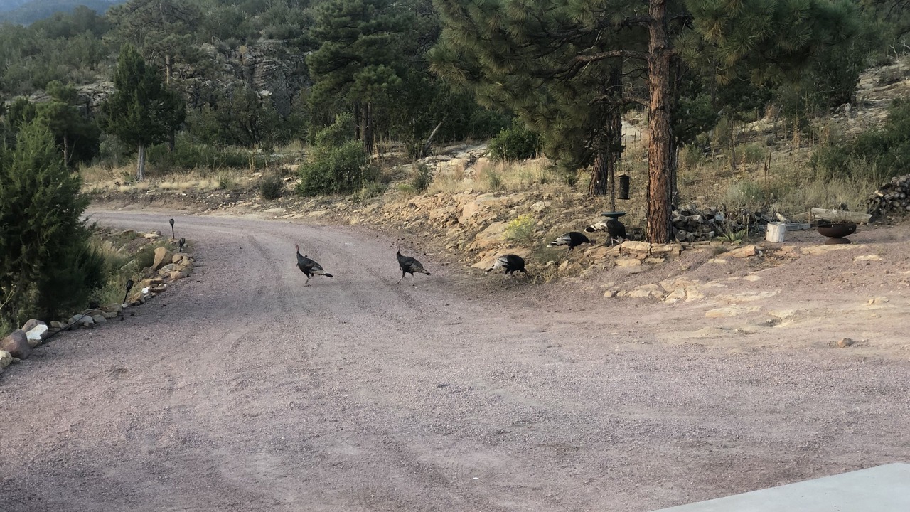 Photo of Others in Canon City