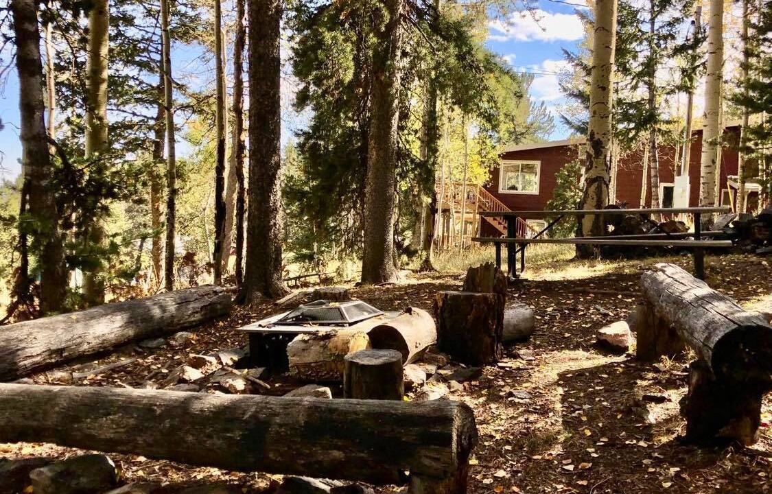 Photo of Outdoor in Conifer Mountain and Meadows