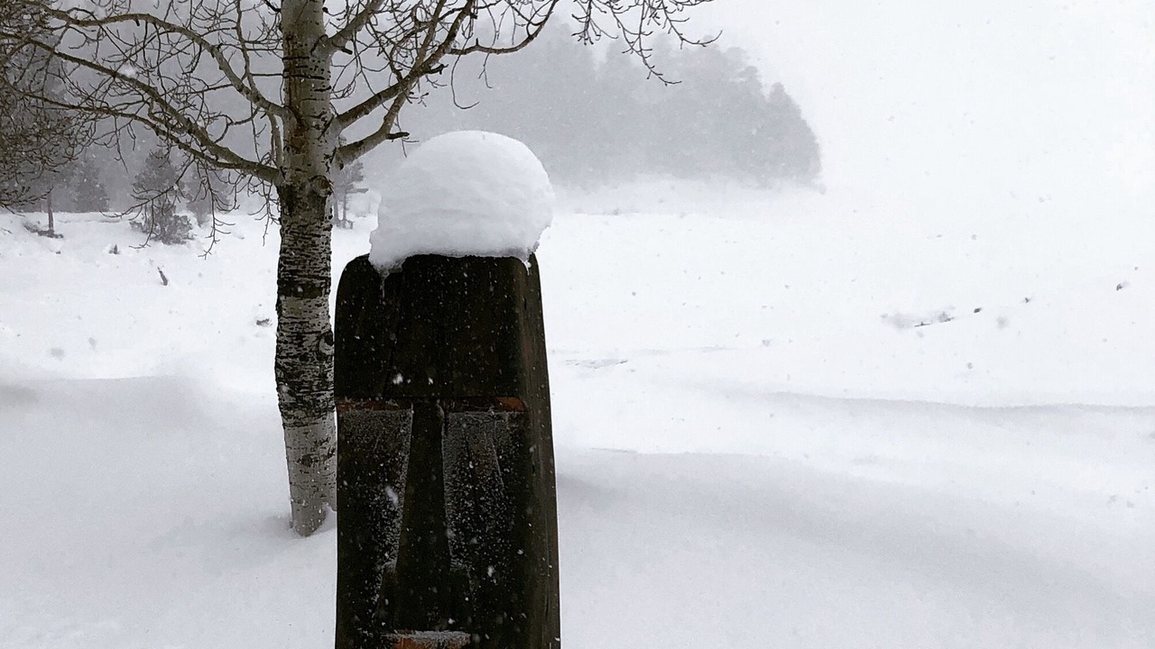 Photo of Others in Bayfield