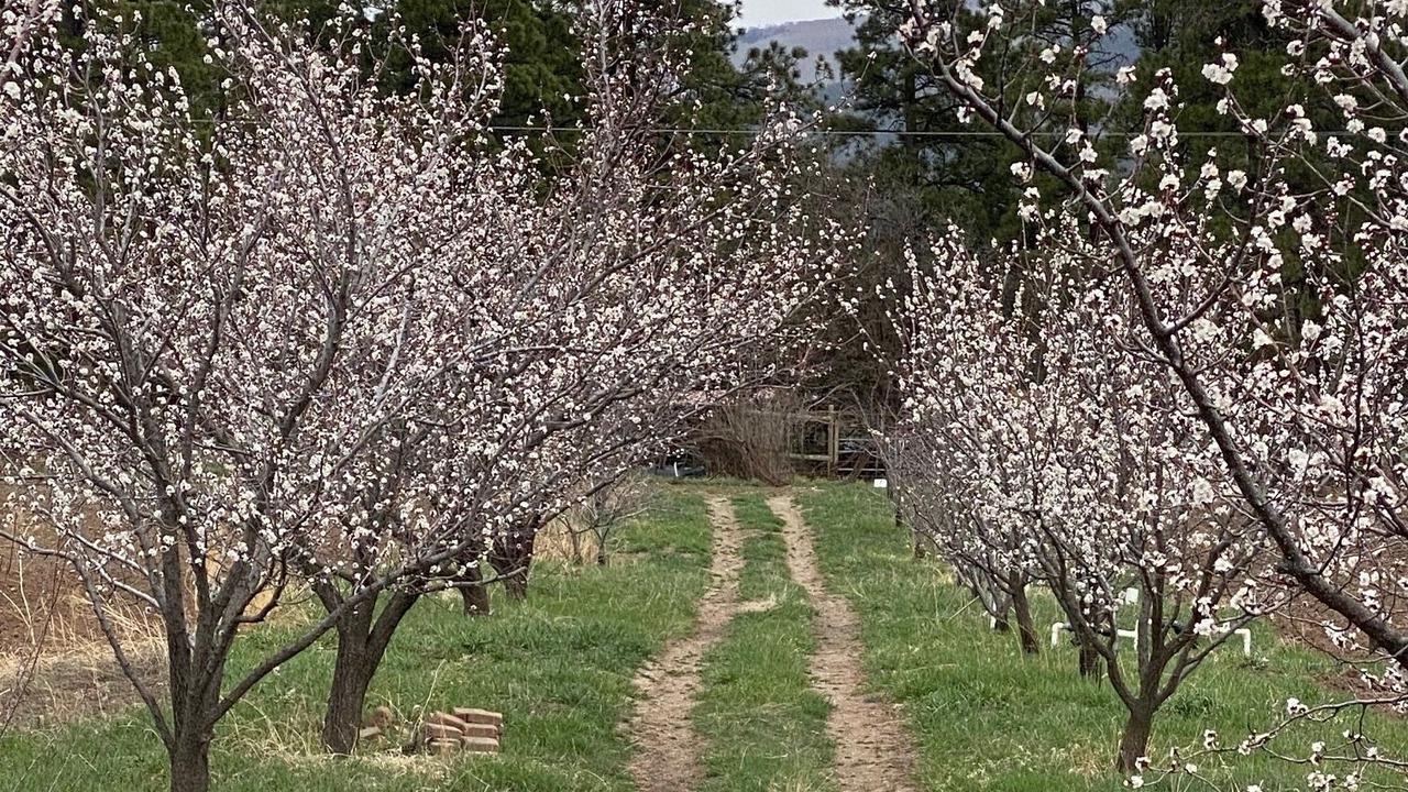 Photo of Outdoor in Durango - Purgatory