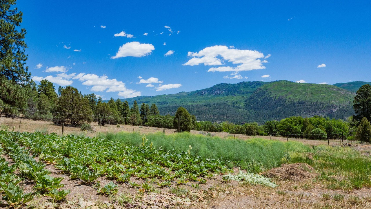 Photo of Outdoor in Durango - Purgatory