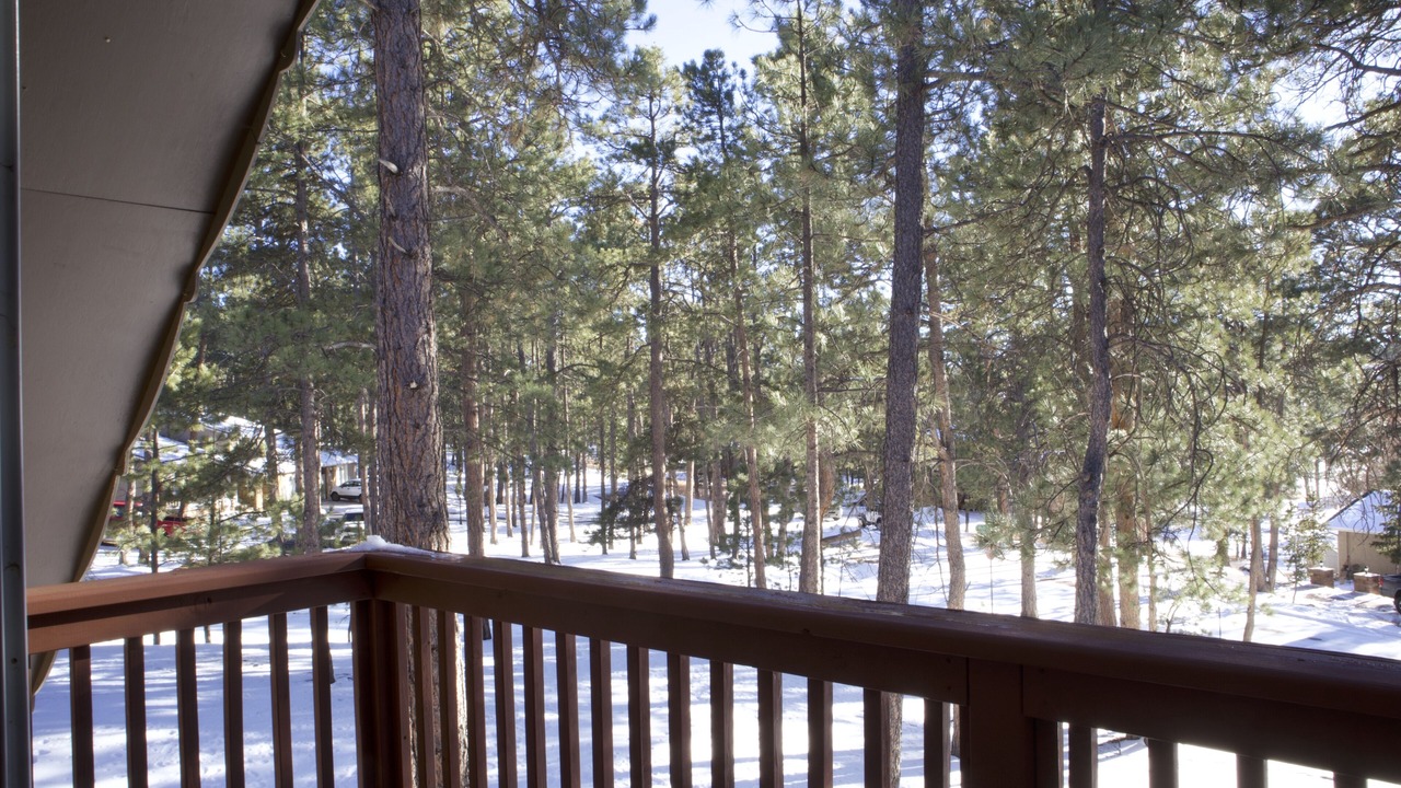Photo of Outdoor in Colorado Springs