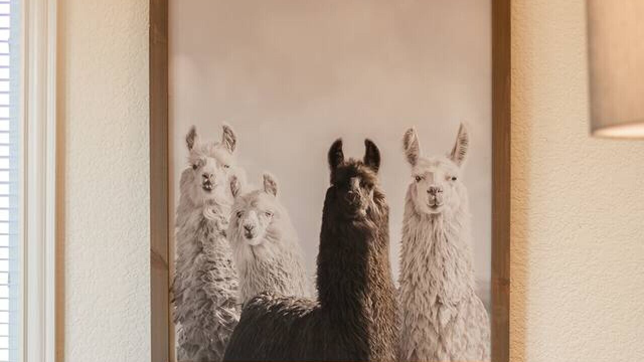 Photo of Others in Boulder