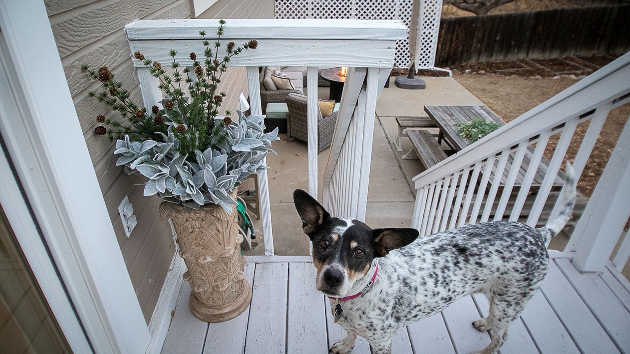 Photo of Patio Balcony in Lafayette