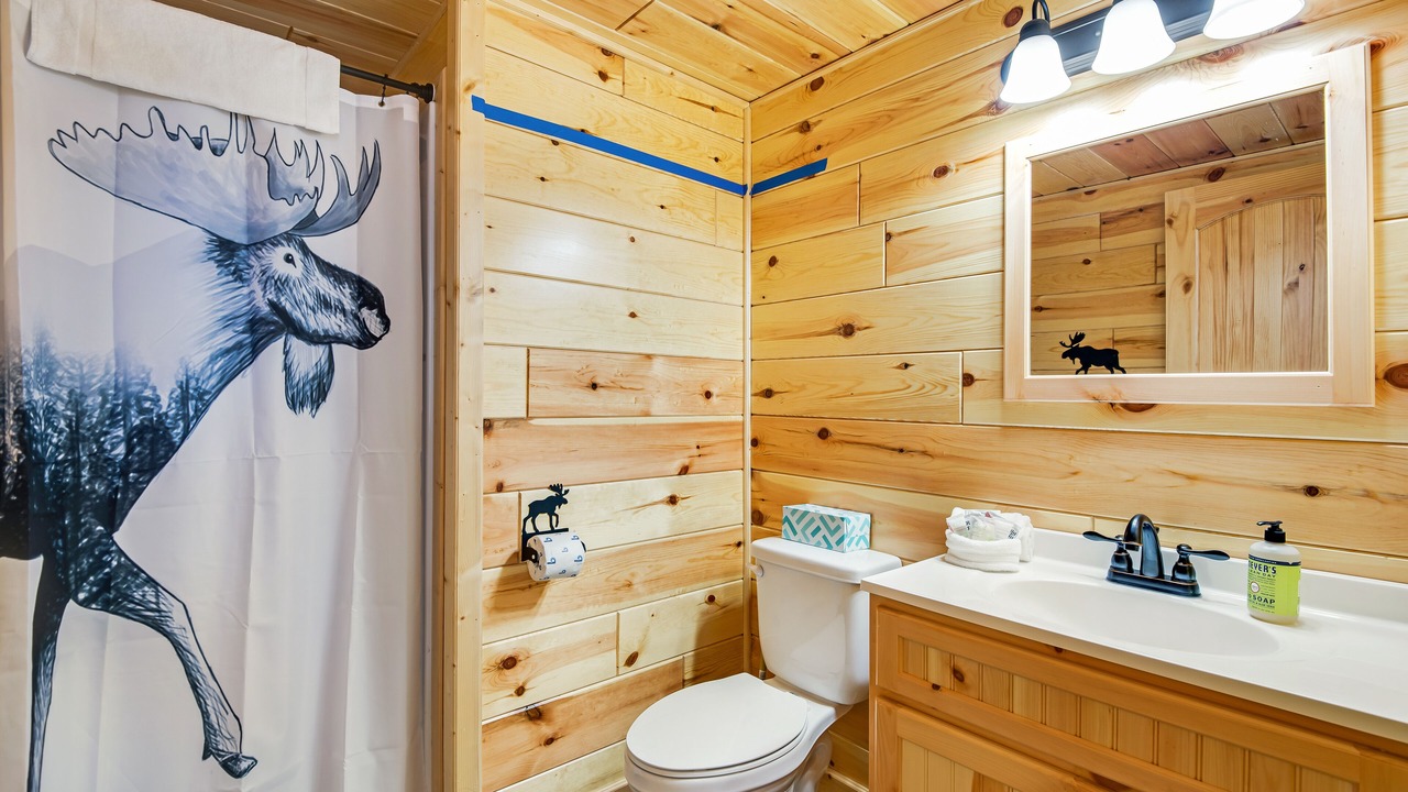 Photo of Bathroom in Florissant
