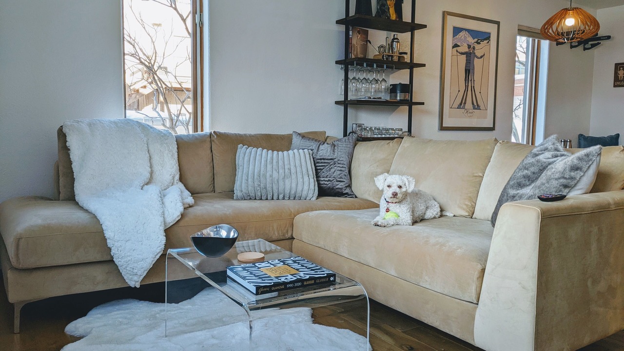 Photo of Livingroom in Steamboat Springs