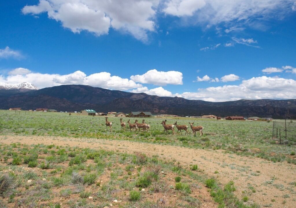 Photo of Outdoor in Buena Vista