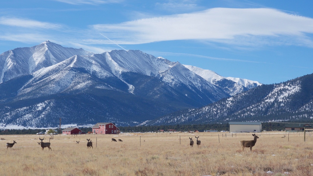 Photo of Others in Buena Vista