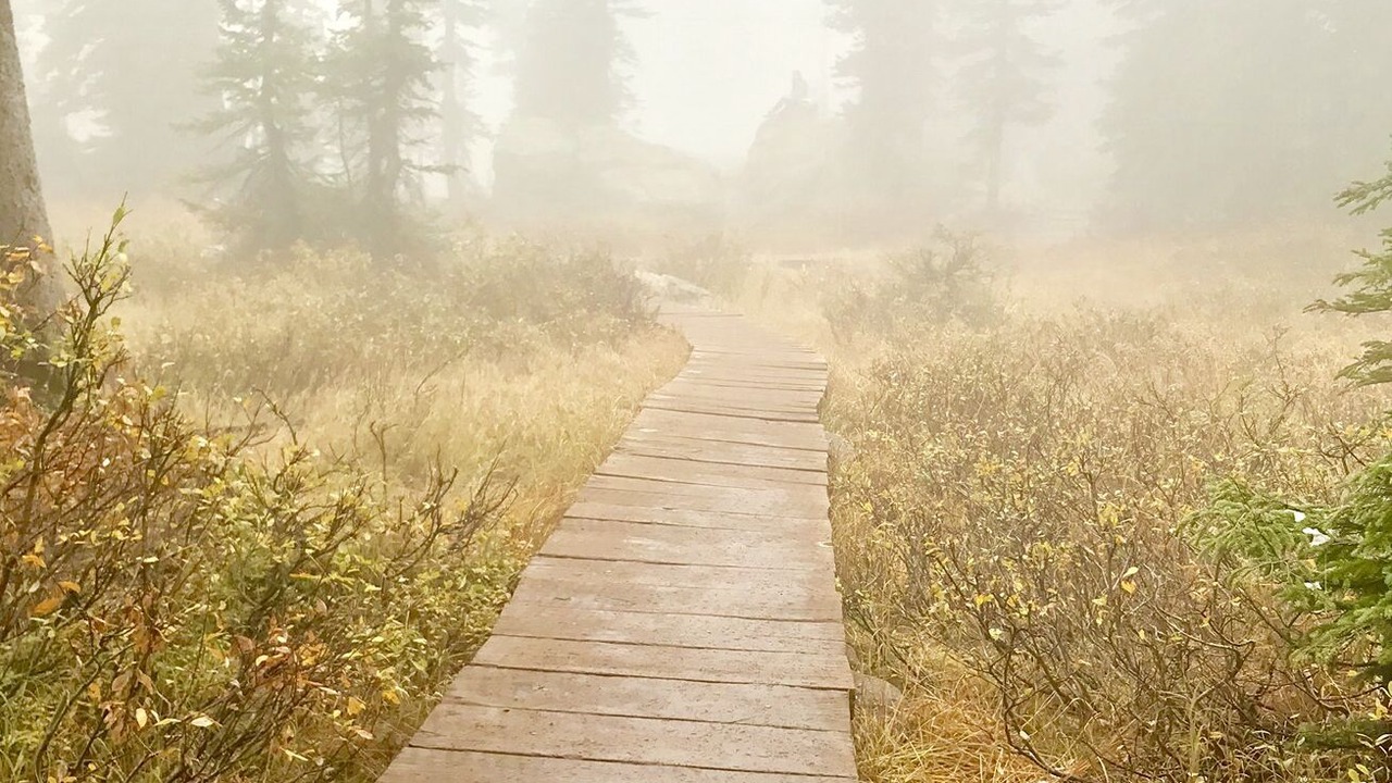 Photo of Outdoor in Estes Park