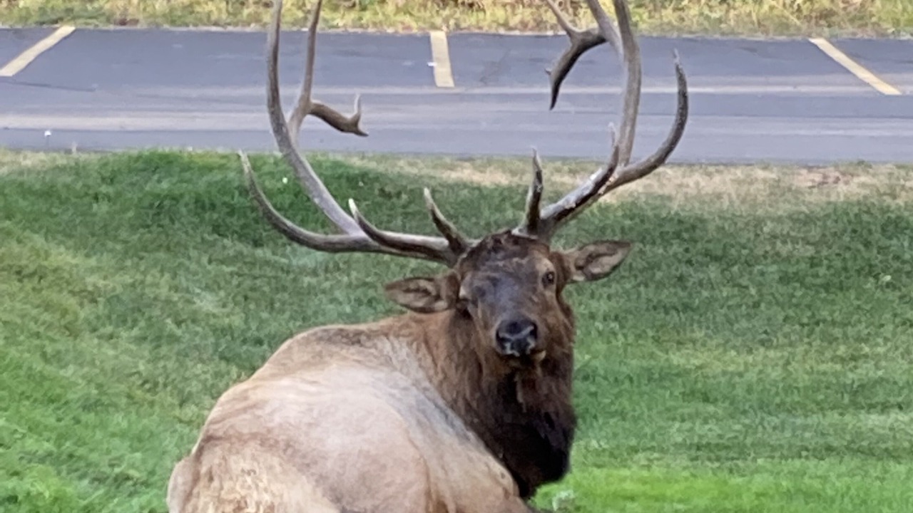 Photo of Others in Estes Park
