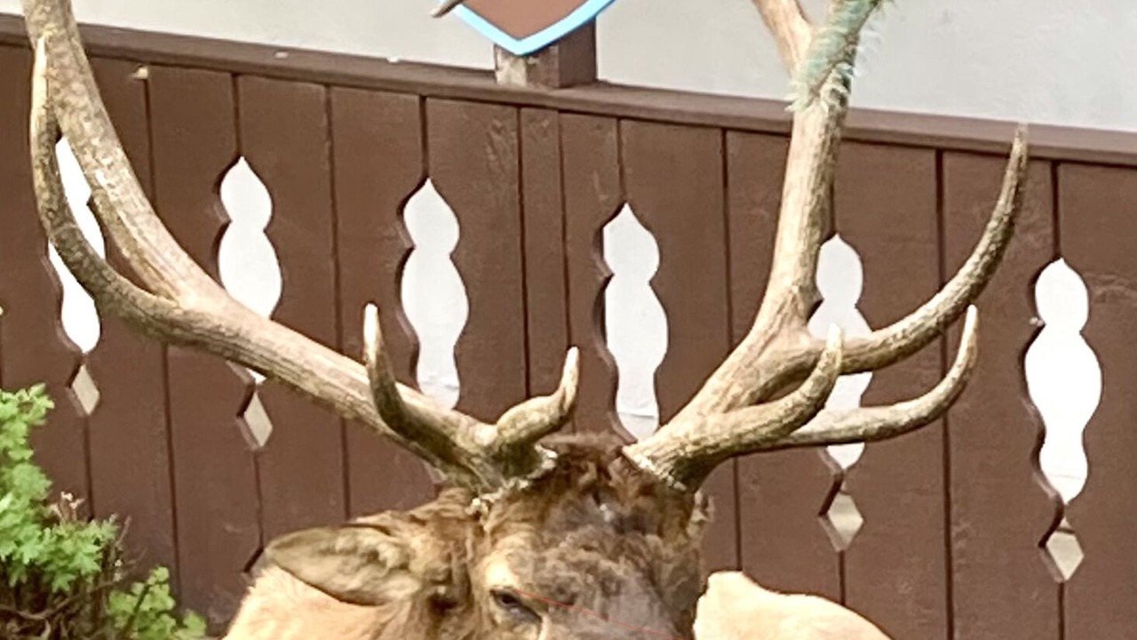 Photo of Others in Estes Park