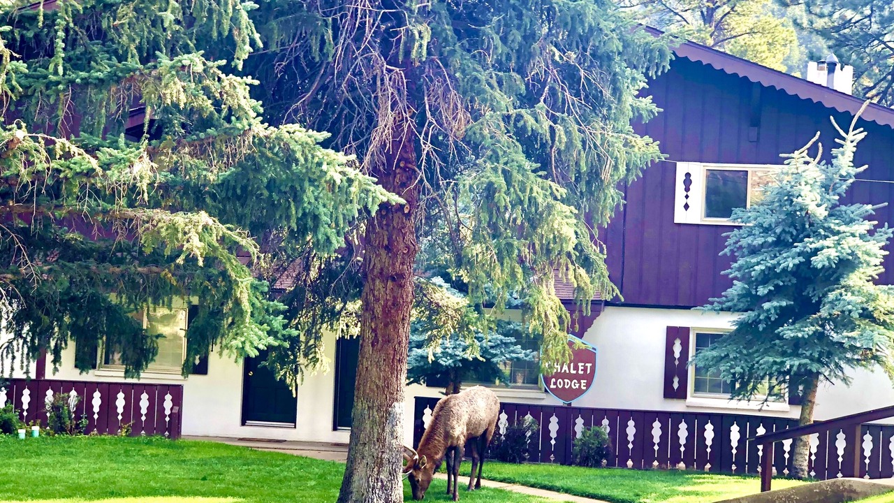 Photo of Others in Estes Park