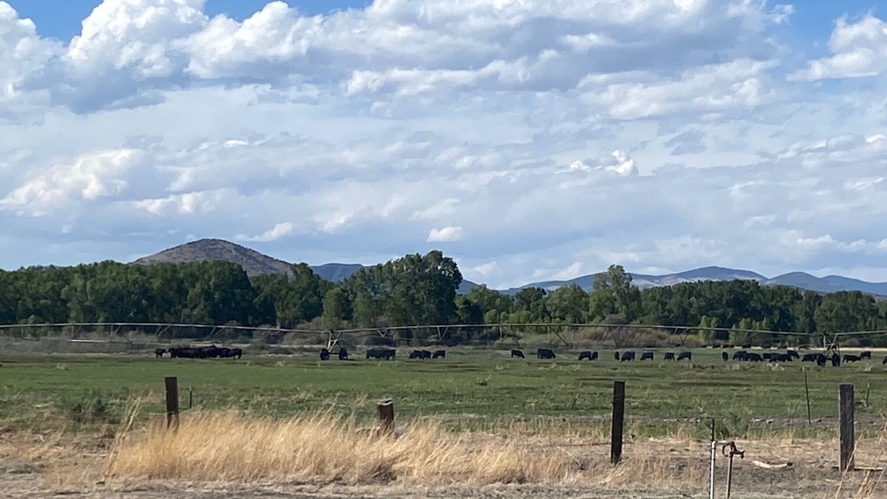 Photo of Outdoor in Del Norte