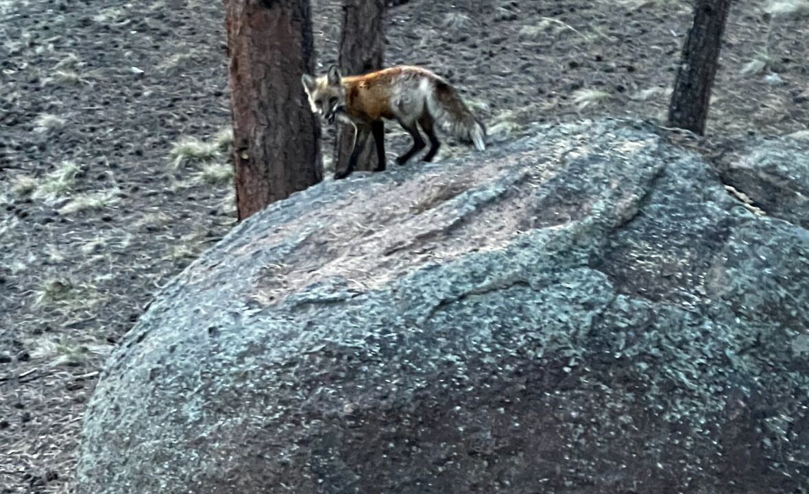 Photo of Outdoor in Lake George