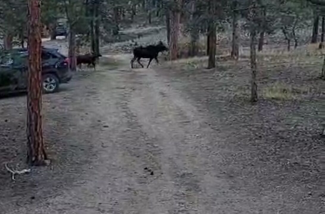 Photo of Others in Lake George