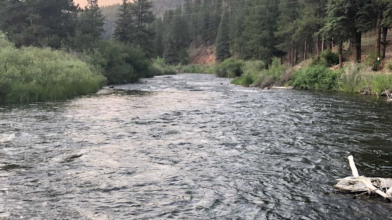 Photo of Others in Lake George