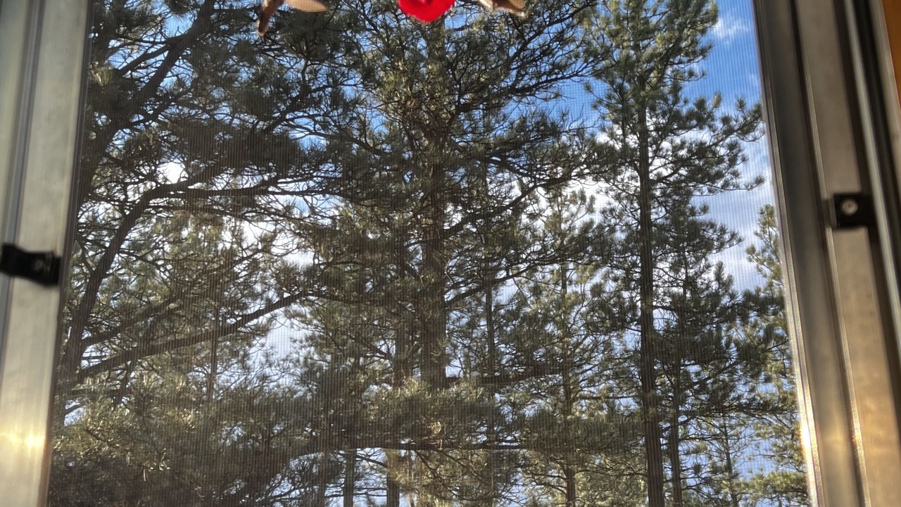 Photo of Others in Lake George