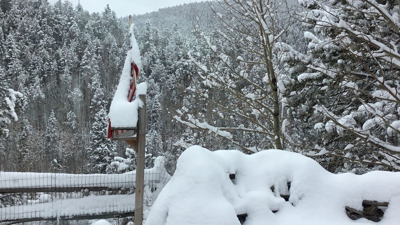 Photo of Others in Cripple Creek